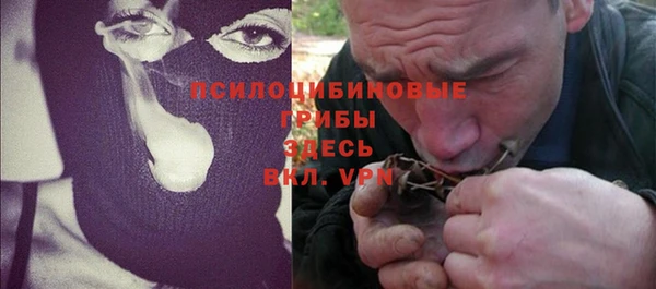индика Медногорск
