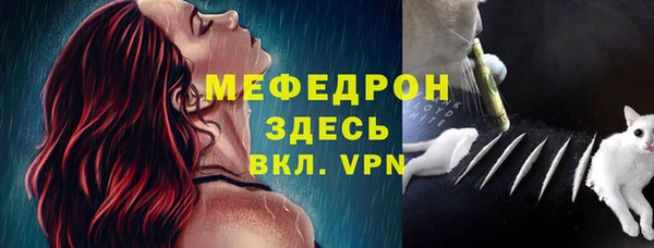 индика Медногорск