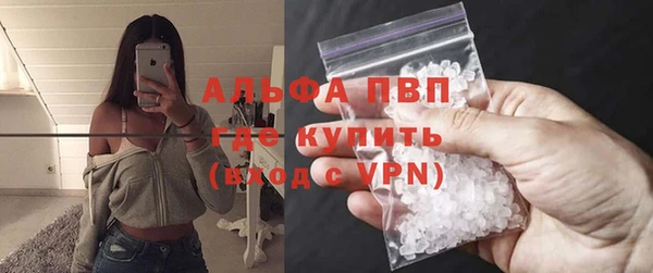 индика Медногорск