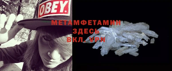 индика Медногорск