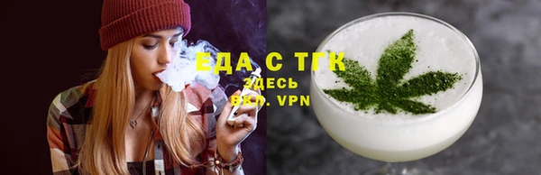 индика Медногорск