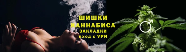 дмт Мегион