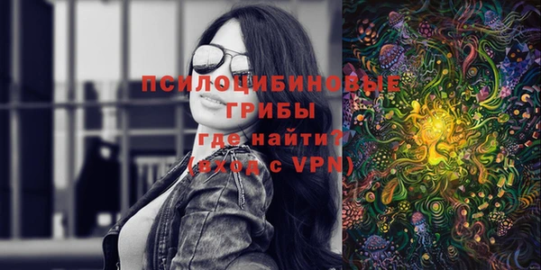 дмт Мегион