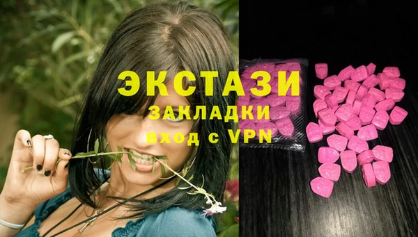 индика Медногорск