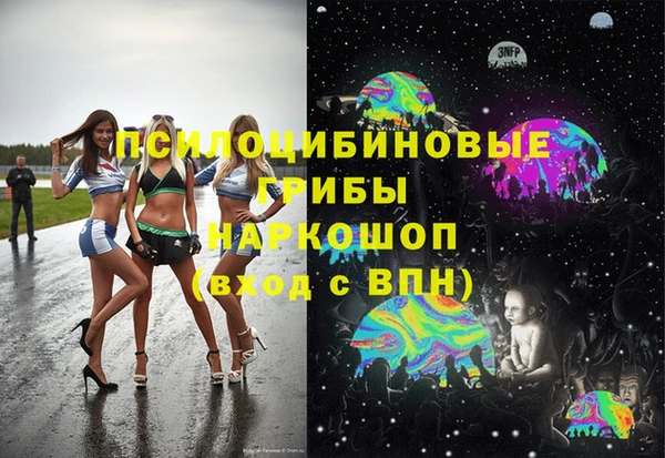дмт Мегион