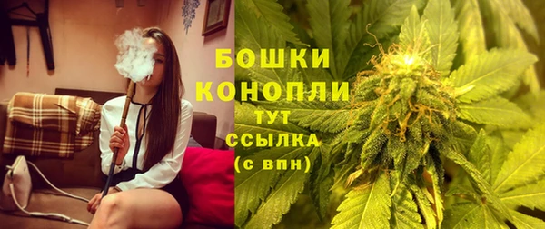 индика Медногорск