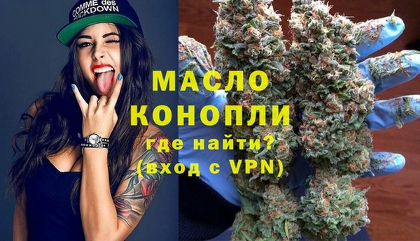 индика Медногорск