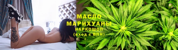 индика Медногорск