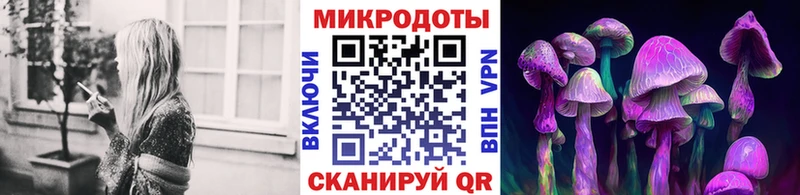 Псилоцибиновые грибы Magic Shrooms  Владикавказ 